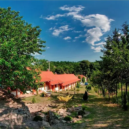 Nyitott Kapu Vendeghaz